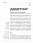 Research paper thumbnail of The Genetic Mechanisms Driving Diversification of the KIR Gene Cluster in Primates