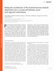 Research paper thumbnail of Molecular architecture of the kinetochore-microtubule attachment site is conserved between point and regional centromeres