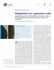 Research paper thumbnail of Sequencing the genome of Candida albicans as it evolves in a patient reveals the genetic changes that allow the yeast to adapt to its environment