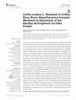 Research paper thumbnail of Coffea arabica L. Resistant to Coffee Berry Borer (Hypothenemus hampei) Mediated by Expression of the Bacillus thuringiensis Cry10Aa Protein