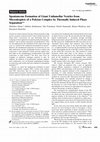 Research paper thumbnail of Spontaneous formation of giant unilamellar vesicles from microdroplets of a polyion complex by focused infrared laser irradiation