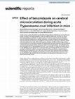 Research paper thumbnail of Effect of benznidazole on cerebral microcirculation during acute Trypanosoma cruzi infection in mice