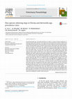 Research paper thumbnail of Flea species infesting dogs in Florida and Bartonella spp. prevalence rates