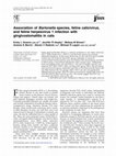 Research paper thumbnail of Association of Bartonella species, feline calicivirus, and feline herpesvirus 1 infection with gingivostomatitis in cats