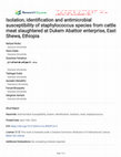 Research paper thumbnail of Isolation, identification and antimicrobial susceptibility of staphylococcus species from cattle meat slaughtered at Dukem Abattoir enterprise, East Shewa, Ethiopia