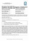 Research paper thumbnail of Emergence and Initial Development of Erythroxylum pauferrense Seedlings under Different Substrates