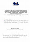 Research paper thumbnail of Development and characterization of microsatellite markers in two agarophyte species, Gracilaria birdiae and Gracilaria caudata (Gracilariaceae, Rhodophyta), using next-generation sequencing