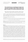 Research paper thumbnail of First detailed karyo-morphological analysis and molecular cytological study of leafy cardoon and globe artichoke, two multi-use Asteraceae crops