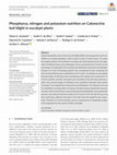 Research paper thumbnail of Phosphorus, nitrogen and potassium nutrition on Calonectria leaf blight in eucalypt plants