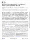 Research paper thumbnail of Pulsed-Field Gel Electrophoresis Analysis of Bordetella pertussis Isolates Circulating in Europe from 1998 to 2009