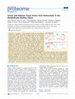 Research paper thumbnail of Serum and Adipose Tissue Amino Acid Homeostasis in the Metabolically Healthy Obese