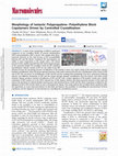 Research paper thumbnail of Morphology of Isotactic Polypropylene–Polyethylene Block Copolymers Driven by Controlled Crystallization