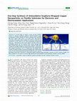 Research paper thumbnail of One-Step Synthesis of Antioxidative Graphene-Wrapped Copper Nanoparticles on Flexible Substrates for Electronic and Electrocatalytic Applications