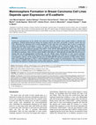 Research paper thumbnail of Mammosphere Formation in Breast Carcinoma Cell Lines Depends upon Expression of E-cadherin