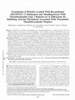 Research paper thumbnail of Transfusion of Platelets Loaded With Recombinant ADAMTS13 (A Disintegrin and Metalloprotease With Thrombospondin Type 1 Repeats-13) Is Efficacious for Inhibiting Arterial Thrombosis Associated With Thrombotic Thrombocytopenic Purpura