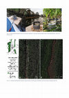 Research paper thumbnail of Supplementary material to "Driving and limiting factors of CH4 and CO2 emissions from coastal brackish-water wetlands in temperate regions