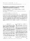 Research paper thumbnail of Morphological segregation of Icelandic threespine stickleback (Gasterosteus aculeatus L)