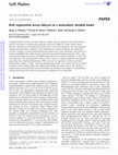 Research paper thumbnail of Raft registration across bilayers in a molecularly detailed model