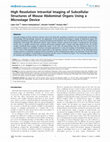 Research paper thumbnail of High Resolution Intravital Imaging of Subcellular Structures of Mouse Abdominal Organs Using a Microstage Device