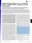 Research paper thumbnail of Ubiquitin E3 ligase Nedd4-1 acts as a downstream target of PI3K/PTEN-mTORC1 signaling to promote neurite growth