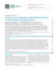 Research paper thumbnail of Potential role of autophagy in the bactericidal activity of human PMNs for Bacillus anthracis