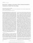 Research paper thumbnail of Electrotonic Coupling in the Inferior Olivary Nucleus Revealed by Simultaneous Double Patch Recordings