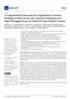 Research paper thumbnail of A Computational Framework for Comprehensive Genomic Profiling in Solid Cancers: The Analytical Performance of a High-Throughput Assay for Small and Copy Number Variants