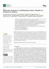 Research paper thumbnail of Molecular Analysis in a Glioblastoma Cohort—Results of a Prospective Analysis