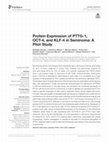 Research paper thumbnail of Protein Expression of PTTG-1, OCT-4, and KLF-4 in Seminoma: A Pilot Study