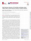 Research paper thumbnail of Draft Genome Sequence of Clostridium perfringens Strain TAMU, Which Causes Necrotic Enteritis in Broiler Chickens