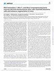 Research paper thumbnail of Msh homeobox 1 (Msx1)- and Msx2-overexpressing bone marrow-derived mesenchymal stem cells resemble blastema cells and enhance regeneration in mice