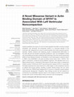 Research paper thumbnail of A Novel Missense Variant in Actin Binding Domain of MYH7 Is Associated With Left Ventricular Noncompaction