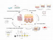 Research paper thumbnail of Experimental models to study intestinal microbes–mucus interactions in health and disease