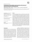 Research paper thumbnail of Involvement of extracellular matrix proteins in the course of experimental paracoccidioidomycosis