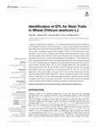 Research paper thumbnail of Identification of QTL for Stem Traits in Wheat (Triticum aestivum L.)