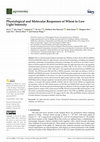 Research paper thumbnail of Physiological and Molecular Responses of Wheat to Low Light Intensity