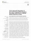 Research paper thumbnail of Tissue-Specific Regulation of Na+ and K+ Transporters Explains Genotypic Differences in Salinity Stress Tolerance in Rice