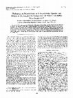 Research paper thumbnail of Phylogeny of Photorhabdus and Xenorhabdus Species and Strains as Determined by Comparison of Partial 16S rRNA Gene Sequences