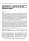 Research paper thumbnail of Variación espacial de la morfología foliar del complejo de especies Miconia rufa (Melastomataceae: Miconieae)