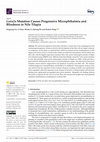 Research paper thumbnail of Gata2a Mutation Causes Progressive Microphthalmia and Blindness in Nile Tilapia