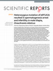 Research paper thumbnail of Heterozygous mutation of eEF1A1b resulted in spermatogenesis arrest and infertility in male tilapia, Oreochromis niloticus