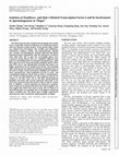 Research paper thumbnail of Isolation of Doublesex- and Mab-3-Related Transcription Factor 6 and Its Involvement in Spermatogenesis in Tilapia1