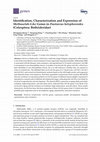 Research paper thumbnail of Identification, Characterization, and Expression of P450 Gene Encoding CYP6BQ13v2 from the Red Flour Beetle, Tribolium castaneum (Herbst) (Coleoptera: Tenebrionidae)