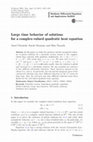 Research paper thumbnail of Large time behavior of solutions for a complex-valued quadratic heat equation