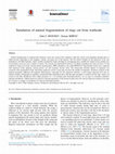 Research paper thumbnail of Simulation of natural fragmentation of rings cut from warheads