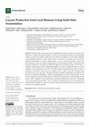 Research paper thumbnail of Laccase Production from Local Biomass Using Solid State Fermentation