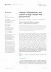 Research paper thumbnail of Obesity, inflammation, and cancer in dogs: Review and perspectives