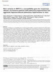 Research paper thumbnail of EXPRESS: Rare variants in RNF213, a susceptibility gene for moyamoya disease, are found in patients with pulmonary hypertension and aggravate hypoxia-induced pulmonary hypertension in mice