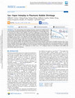 Research paper thumbnail of Gas–Vapor Interplay in Plasmonic Bubble Shrinkage