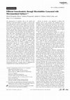 Research paper thumbnail of Efficient Sonochemistry through Microbubbles Generated with Micromachined Surfaces